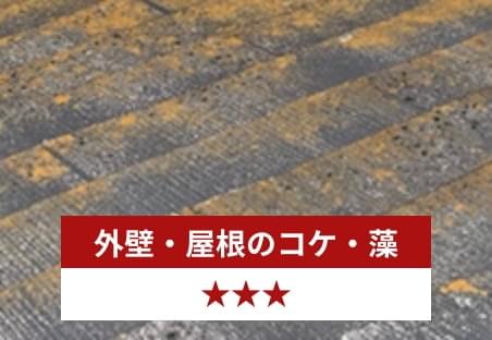 外壁・屋根のコケ・藻 星３